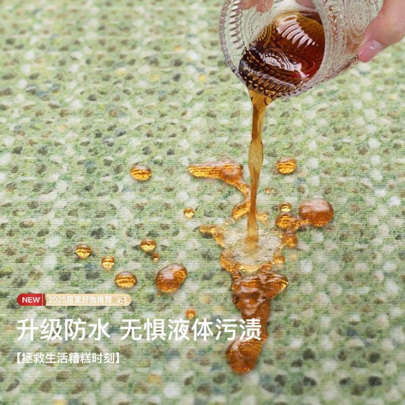 202JR2025035新法款式色地毯耐高脏易打理免洗轻奢级感沙发春夏客