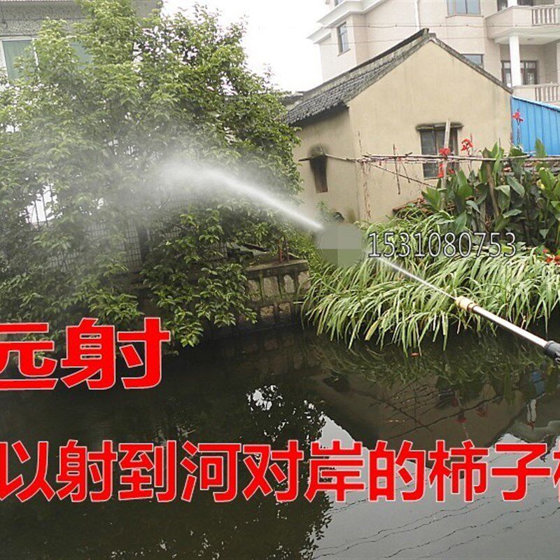 12V24V48V60V直流电动喷雾器打药机/超小型自吸高压水泵/园艺水泵