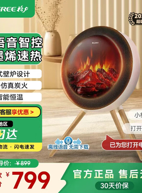 格力北欧电暖器暖风机取暖器语音石墨烯仿真火焰NFTD-X6020BV-MF