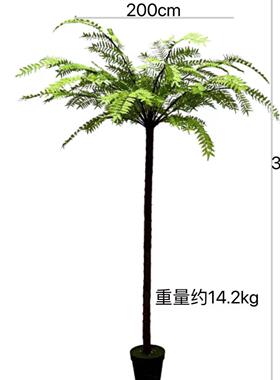 型仿真草桫椤蕨树ZNI绿植原始森大林风格室内庭叶院落地景观植物