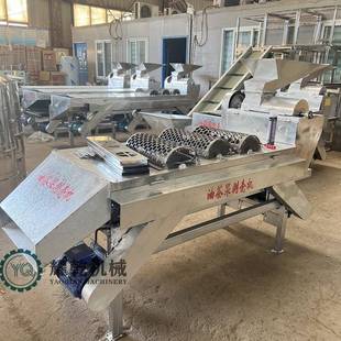 油茶籽脱壳机 时产20斤干YCU湿00电茶果剥壳机 两相山茶果剥皮机