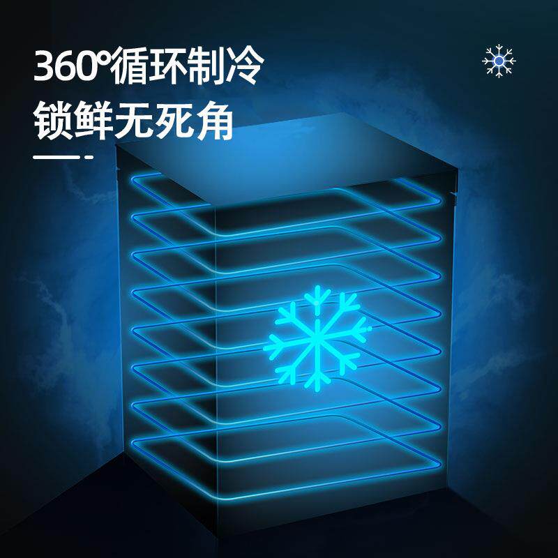小串小串速冻柜家用大容NBG量全冷冻型保冰鲜双温冷柜两用迷你家