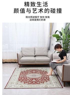 跨境水01111晶绒毯地客厅沙发茶几地垫家卧室满铺脚垫用垫门垫