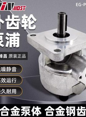 WINMOST峰昌齿轮泵EG-PA-F6R F8R F9R F11R F4R F3R F2R F1R L