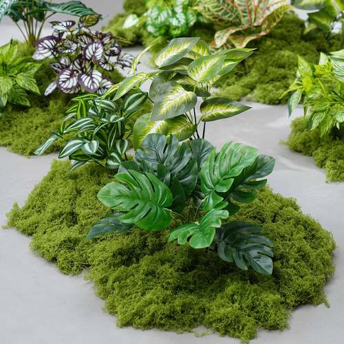 仿假真场绿植苔造景组合室DZ内橱窗角落仿生藓微景观绿植景装饰布