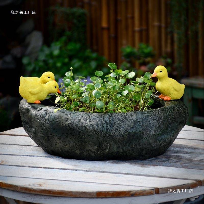铜钱草水培花盆大口径绿萝植物吊兰碗莲水养花园庭院阳台养鱼