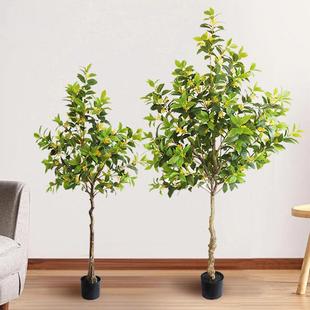 仿真大绿植植桂花人造月桂树落地树型绿民宿落KS 5025地盆栽造景