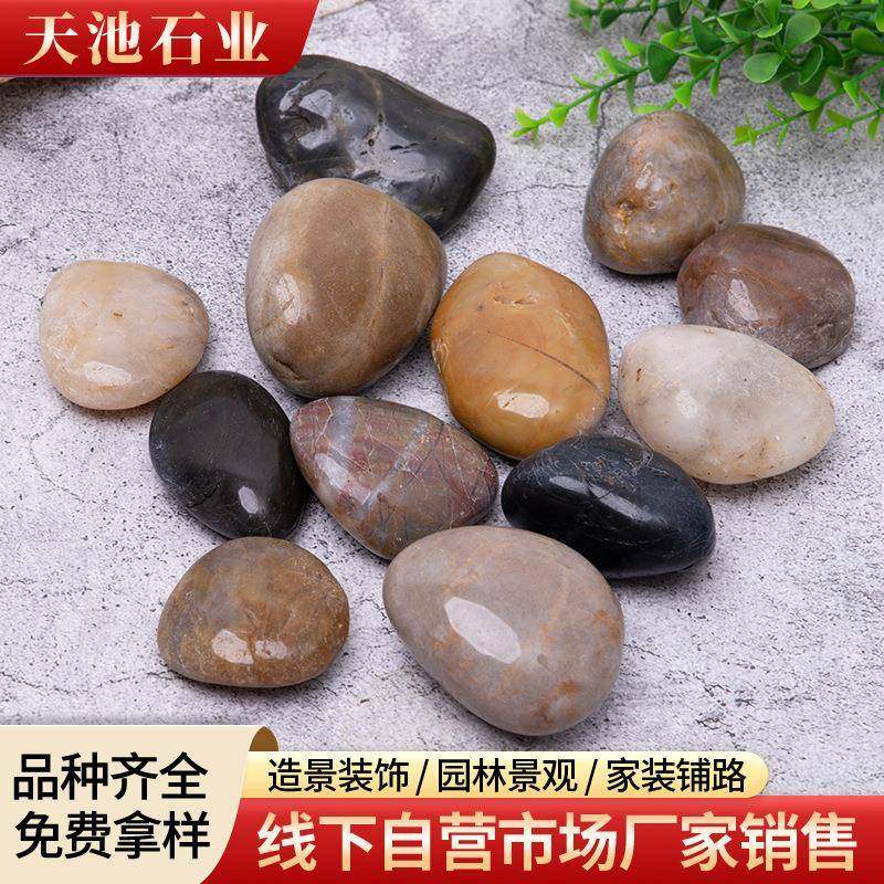 卵南京五彩精品鹅石。铺路造79景，庭院装，花饰盆鱼缸水垫池底,基础建材,粗沙,淘宝优惠券,粉丝福利购,淘宝优惠卷