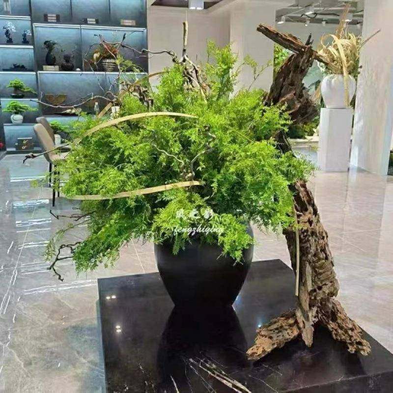 新中式光色陶瓷落地坛子缸酒ZYO店样板间所餐厅大插花会器瓶黑哑,家居饰品,花瓶,淘宝优惠券,粉丝福利购,淘宝优惠卷