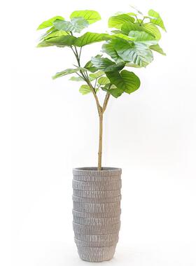 古仿木纹大复口径花客庭院商场盆创意绿植种植花器玻厅璃F99129钢