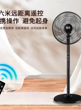 落金正款落地20869电风扇家用台式16扇寸风扇遥控定时摇头风大地
