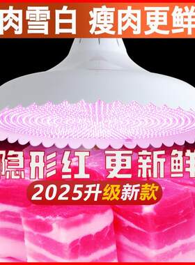 新国标led生鲜灯隐形红超亮猪肉鲜肉灯卤肉熟食海鲜水果照肉专用