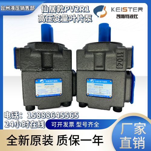 仙居凯斯特PV2R1-21-FR/31/25/23/17/19/PV2R1-28-FR变量叶片泵