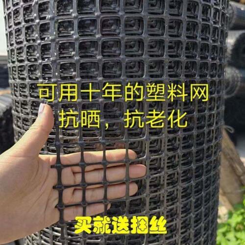 加厚养殖鸡鸭鹅塑料网玉米网果园圈地围栏菜地·栅栏鱼塘隔离网