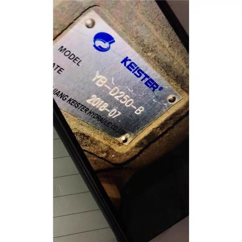 KEISTER凯斯特叶片泵 YB-D250-B 叶片油泵 品质保证. 液压油泵