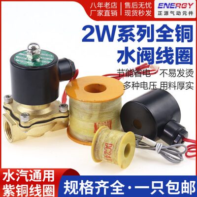 全铜电磁阀2W水阀线圈220V24V12V 2分 4分 6分 1寸 2 1寸半 2寸