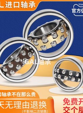 进口GAL密封调心球轴承2305 2306 2307 2308 2309  K RS 双排滚珠