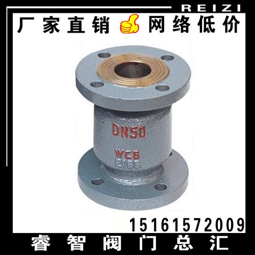 HC41X法兰消声立式止回阀 单向阀逆止阀 工业级铸铁止回阀 DN50