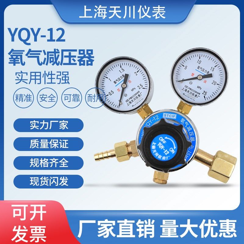 上海天川仪表 氧气减压阀 YQY-12 2.5*25mpa 上海减压器 调压稳压