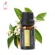 Neroli橙花 10ml 苦橙花单方精油馥郁舒缓加湿扩香专用ilobo