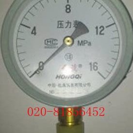 压力表Y100-25MPA 10MPA 16MPA 25MPA 40MPA 60MPA Y-100红旗仪表