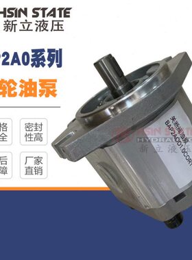 齿轮泵BAP2A0D10C0R1/D12/D14/D16/D18/D20/D22/D25/D28/D30COR1