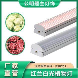 T20多肉补光灯家用上色全光谱LED植物生长灯仿太阳光兰花卉水草
