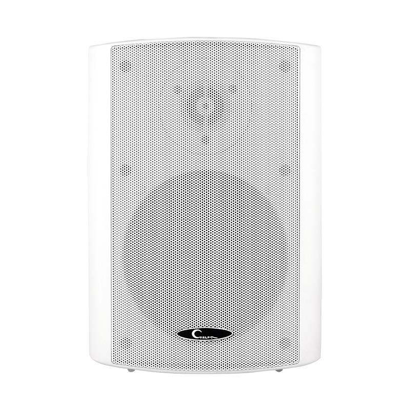 CTRLPA CL612W店铺广播壁挂音箱 室内定压挂壁喇叭墙挂式会议音响
