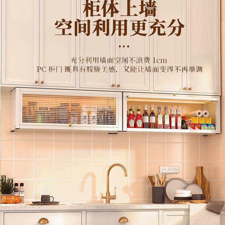 壁挂式厨房吊柜下方调料柜免打孔墙壁上防尘橱柜调味品储物置物架