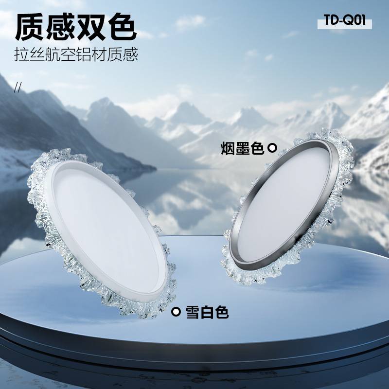 现代轻奢卧室吸顶灯LED圆形护眼书房灯家用智能房间智能控制