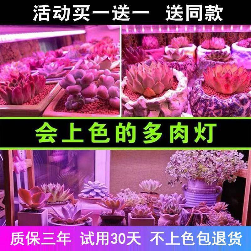 全光谱led多肉补光灯家用上色快防徒长仿太阳光花卉育苗植物生长