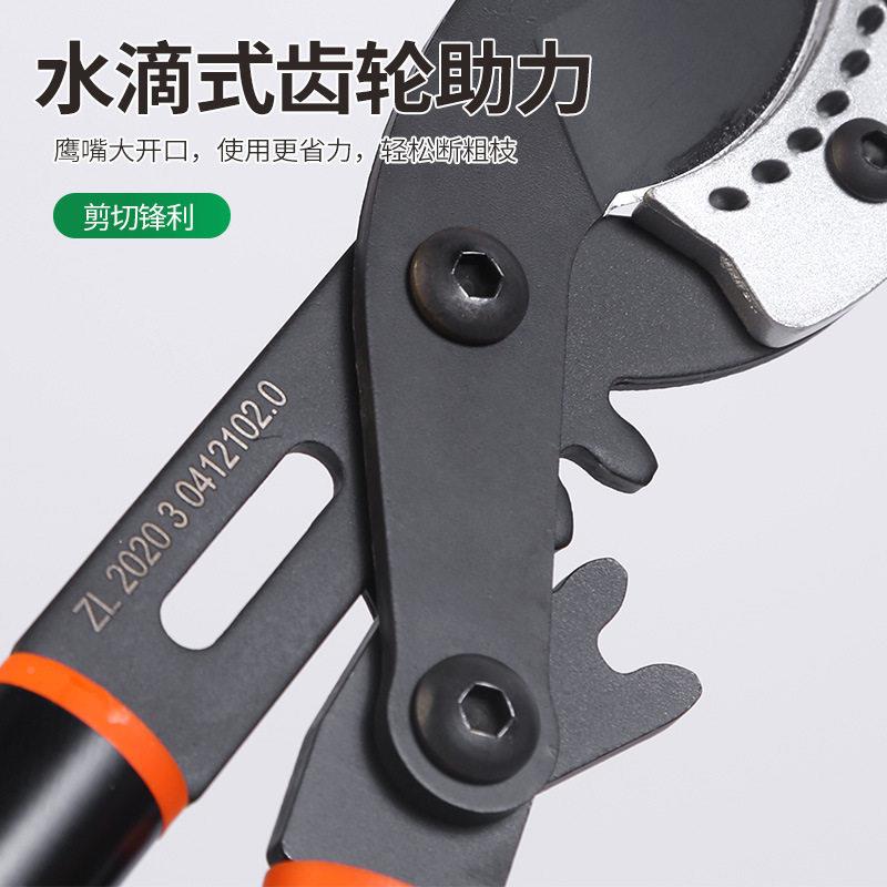 赢枝大新型粗剪力剪大园园林艺2伸缩果树剪摘果剪园林工具