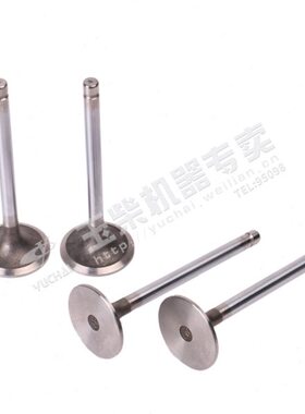 玉柴发动机原厂配件YC4DYC4108气门D30进气门