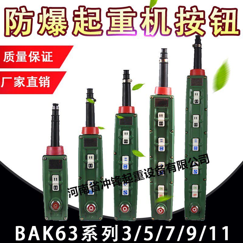 防爆控制手柄BKA63电动葫芦防爆控制手柄按钮防爆手柄防爆电器气