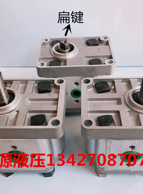 齿轮泵CBN-F320 CBN-F325液压油泵 CBN-E320 325 高压齿轮油泵