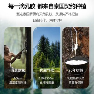 每家故事乳胶床垫家用卧室记忆棉软垫宿舍学生上V下铺专用榻榻米