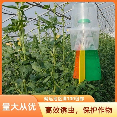 塑料点蜂缘蝽诱捕器包邮工具适用户外农用大豆等大棚诱虫捕虫器