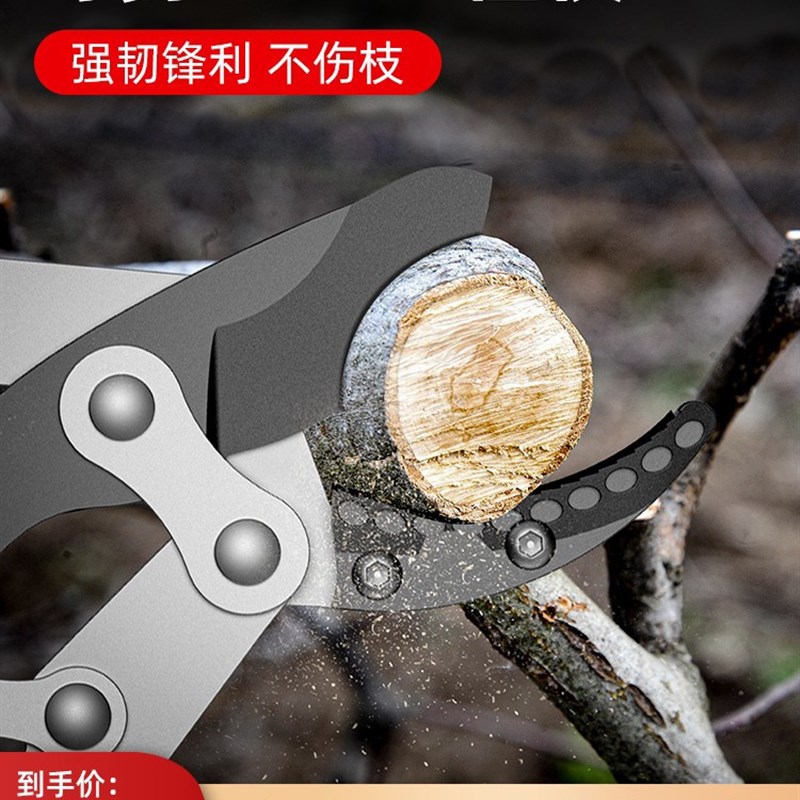 德国芝浦修枝剪刀树枝剪园林粗枝高枝剪花枝剪园林工具专用大力剪