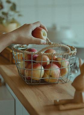 FVF田园古风铁艺铁丝织鸡蛋筐桌面食面零包复店陈列编水果蔬菜收