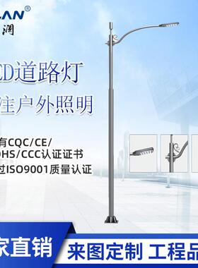LED市电路灯6米8米10米12米市政道路公园景区厂区农村30-100W超亮