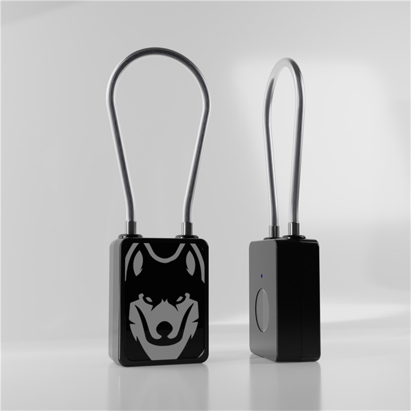 2024新款旅行运动o安全指纹锁学生宿舍柜子指纹挂锁创意宠物可爱