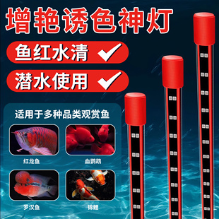 红龙专用发色鱼缸灯三基色防水LED灯龙鱼专业超亮增艳诱色神灯