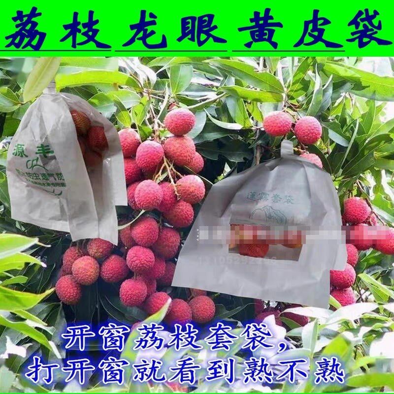 荔枝龙眼黄皮桂圆专用套袋纸袋蓝莓樱桃杨梅套袋露天防水防虫防菌