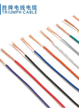 FLRY-B汽车PVC电子线0.35MM-6.0MM德系汽车线束低压汽车电器连接