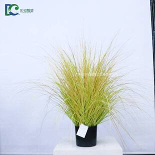 仿真芦苇盆栽狗尾巴草仿真绿色洋葱草盆栽大型狗尾草盆栽室内摆件