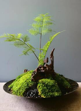 兰庭雅居仿真迎客松盆景家居玄关客厅电视柜装饰摆件