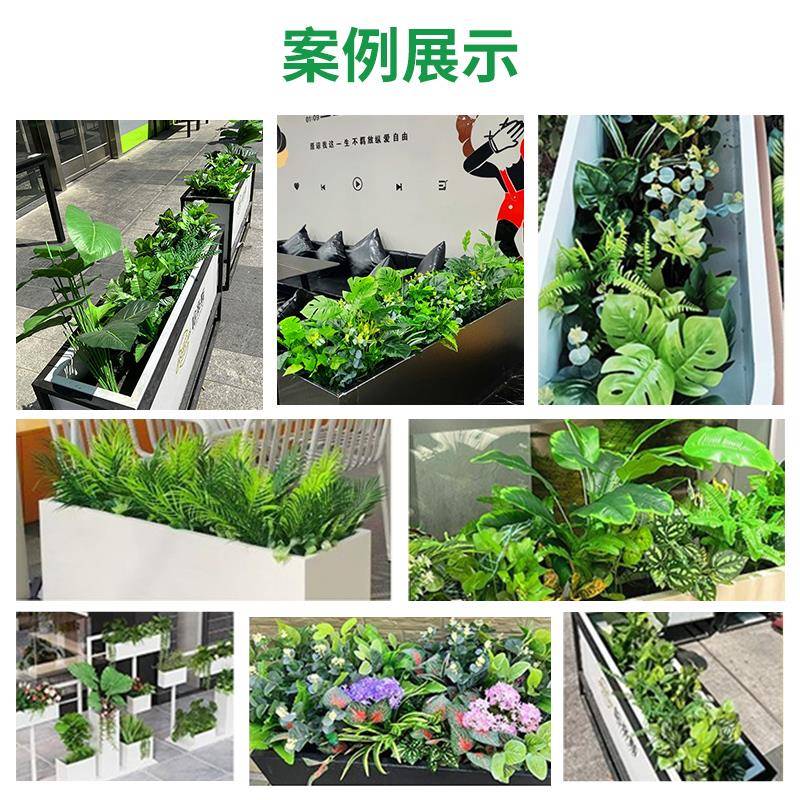 真绿植造组景合摆设热带观植物隔仿断花槽DZ花箱仿生假花室内景装