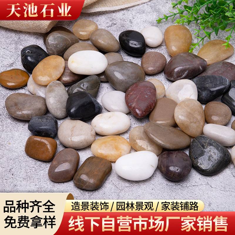 南京五彩精品鹅卵石铺路造景庭院装饰花盆鱼缸水池垫底天然石