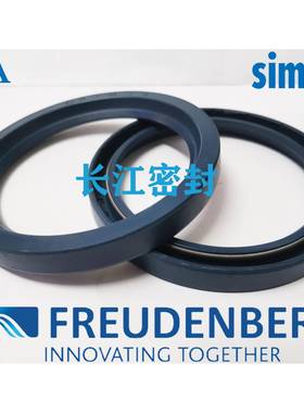 SIMMERRINGBA86-110-13145-175-15德国进口单唇口DIN3760A