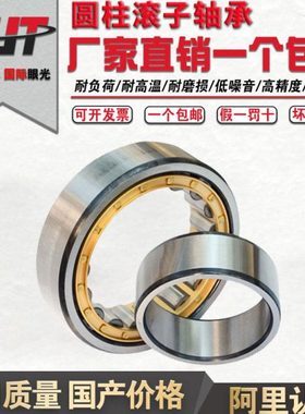 进口质量圆柱滚子 NJ203 NJ204 NJ205 206 207 208 209 210 211EM